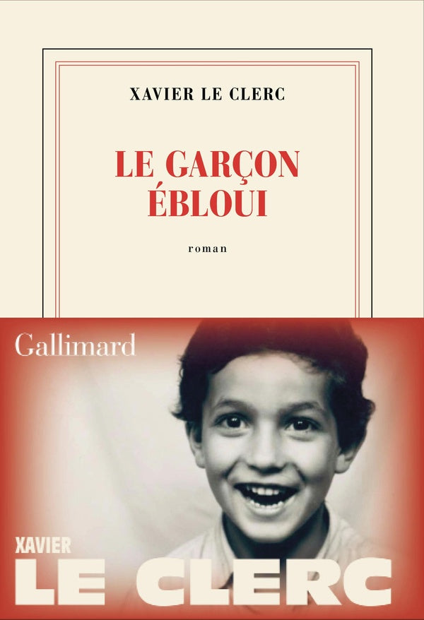 Front cover of Le garçon ébloui