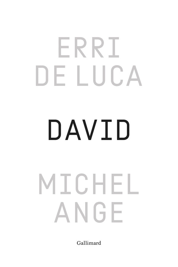 Front cover of David, Michel-Ange : Enquête sur une disproportion