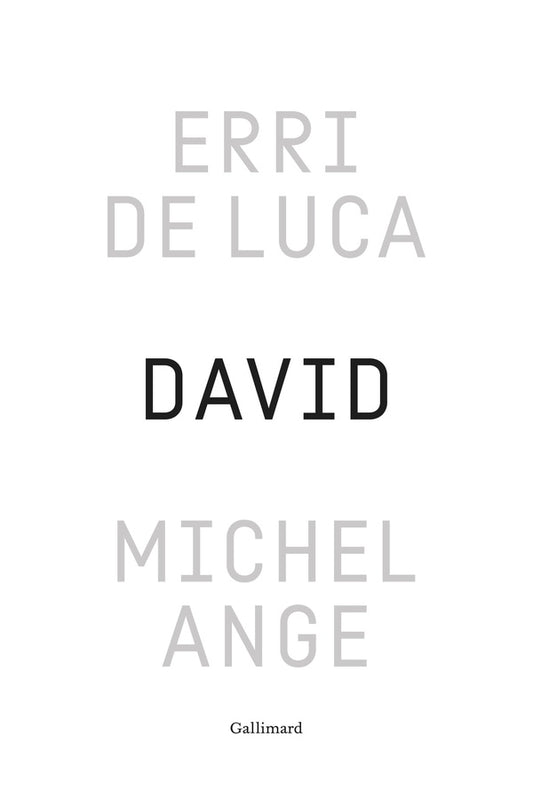 Front cover of David, Michel-Ange : Enquête sur une disproportion