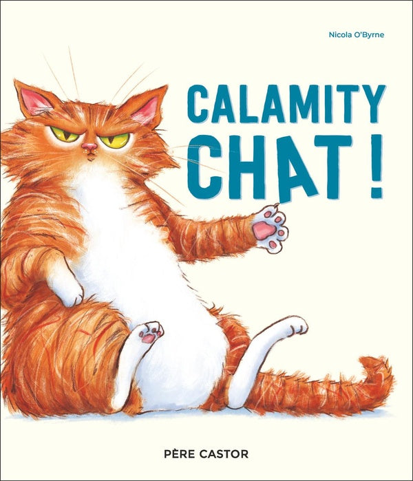 Front cover of Calamity chat !