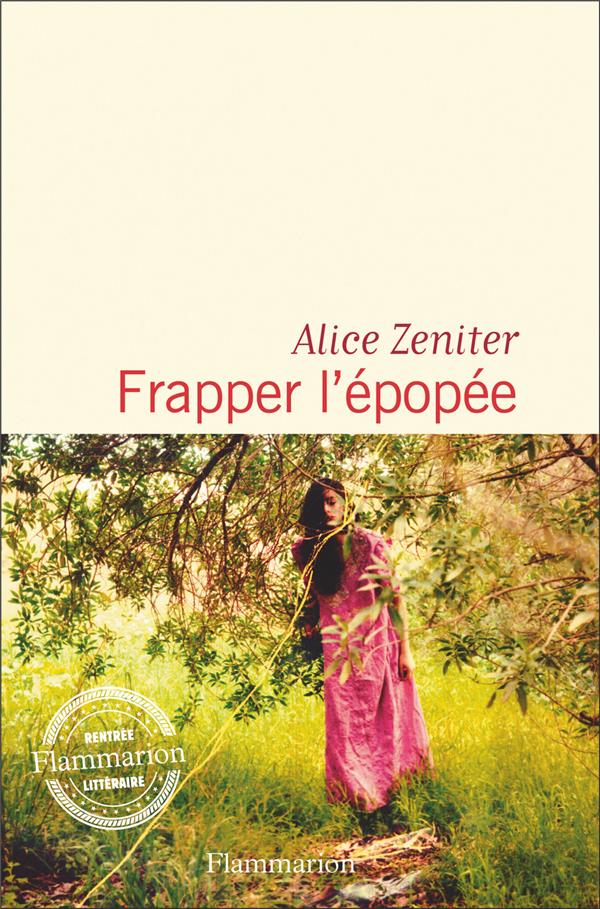 Front cover of Frapper l'épopée