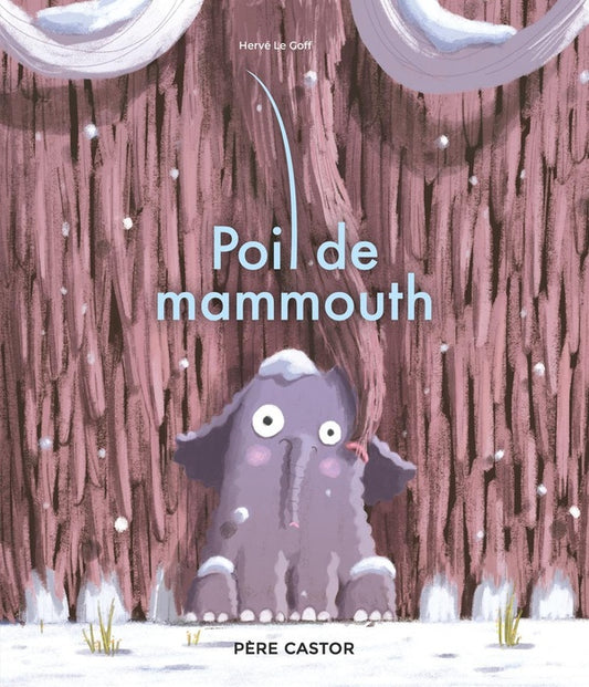 Front cover of Poil de mammouth