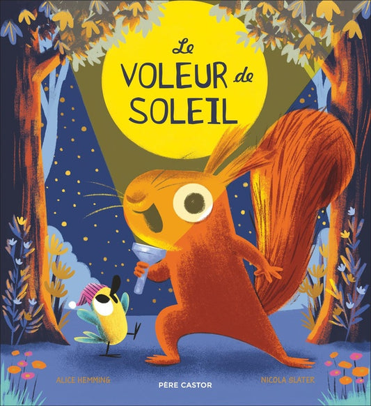Front cover of Le Voleur de Soleil