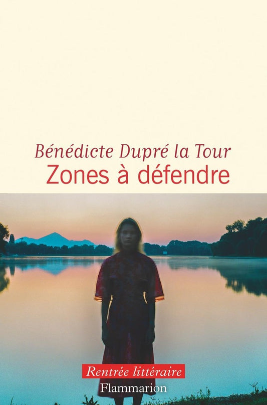 Front cover of Zones à défendre