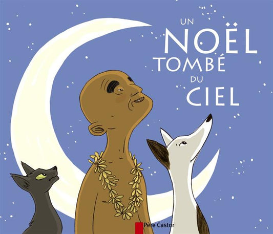 Front cover of Un noel tombe du ciel