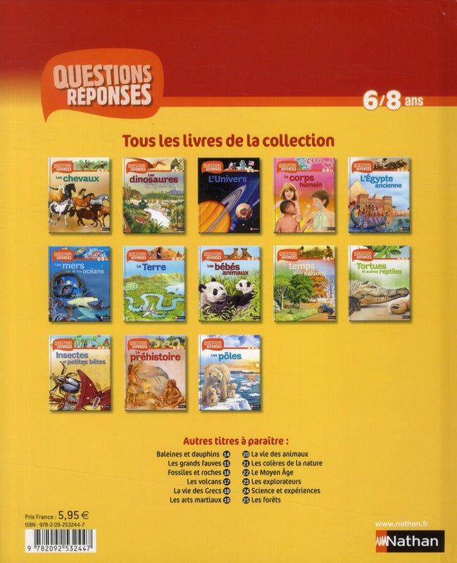 Back cover of La prehistoire