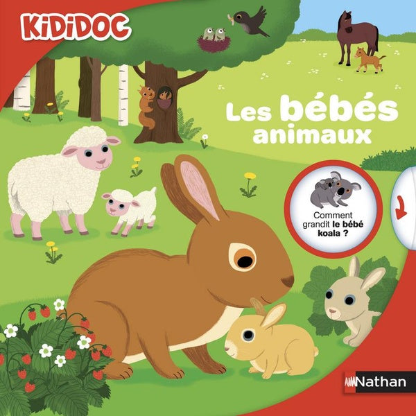 Front cover of Les bébés animaux