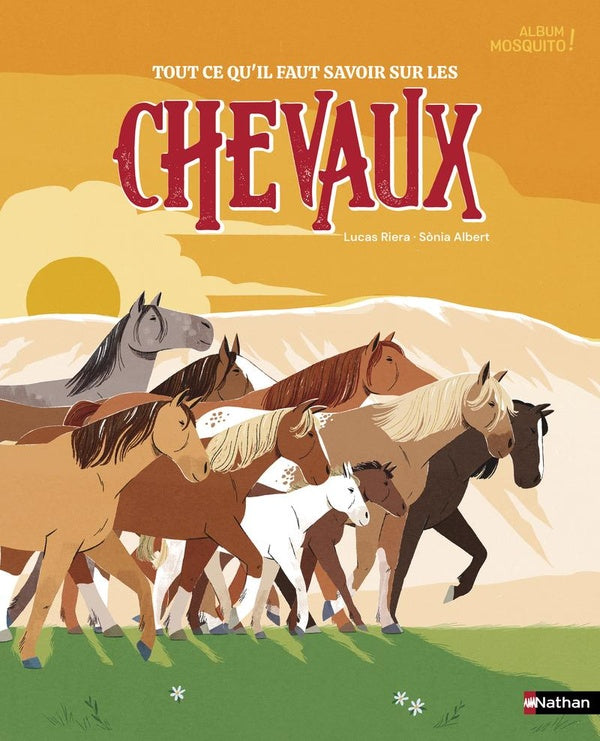 Front cover of Tout ce qu'il faut savoir sur les chevaux