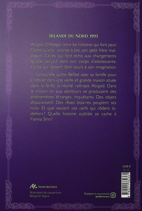 Back cover of Dans le ventre de Fianna Sinn