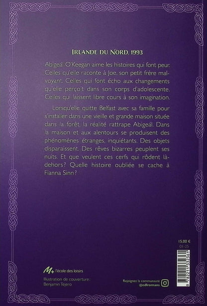 Back cover of Dans le ventre de Fianna Sinn