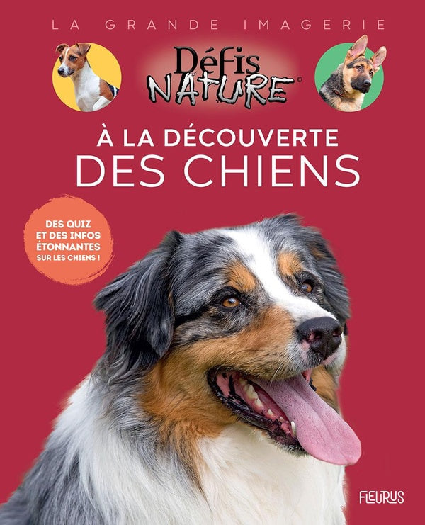 Front cover of A la découverte des chiens