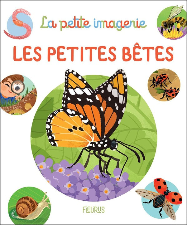 Front cover of Les petites bêtes