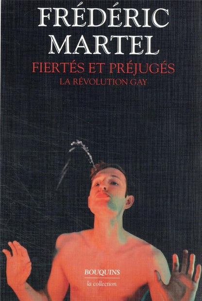 Front cover of Fiertés et préjugés