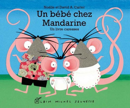 Front cover of Un bébé chez Mandarine