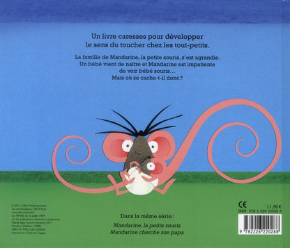 Back cover of Un bébé chez Mandarine