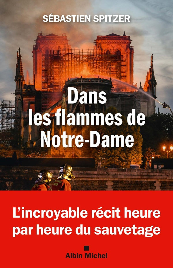 Front cover of Dans les flammes de Notre-Dame