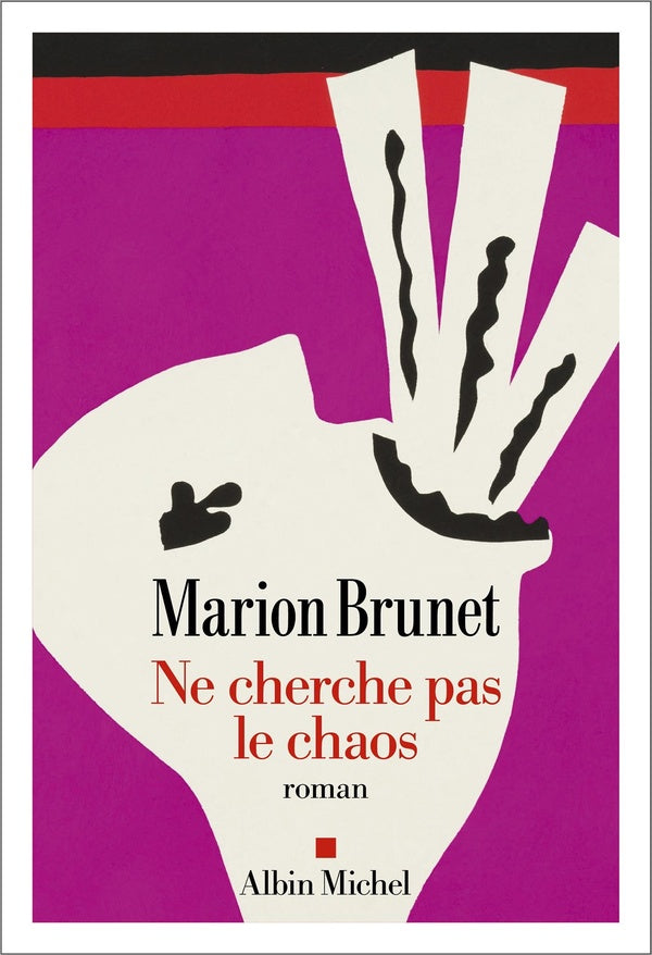Front cover of Ne cherche pas le chaos