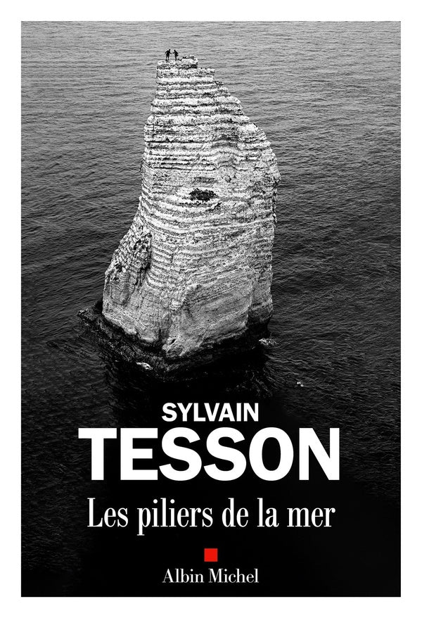 Front cover of Les piliers de la mer