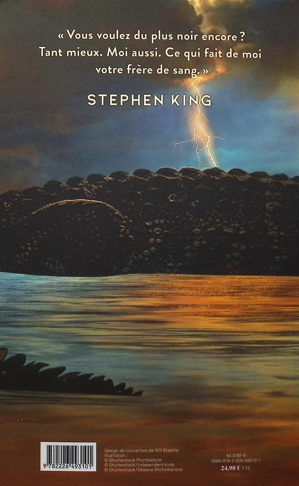 Back cover of Plus noir que noir