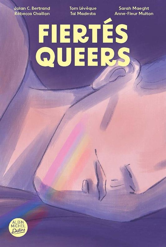 Front cover of Fiertés queers