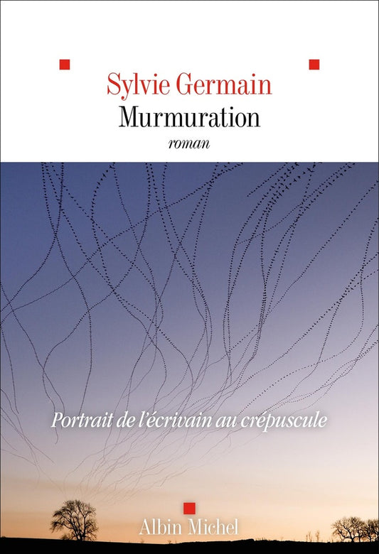 Front cover of Murmuration
