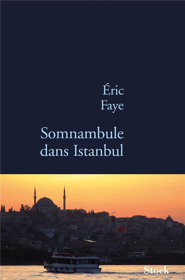 Front cover of Somnambule dans Istanbul                     (IMPRESSION A LA DEMANDE)