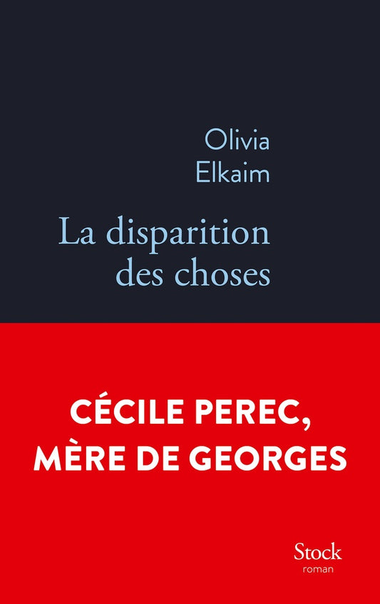 Front cover of La disparition des choses