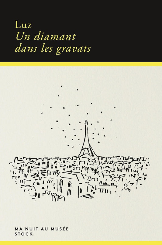 Front cover of Un diamant dans les gravats