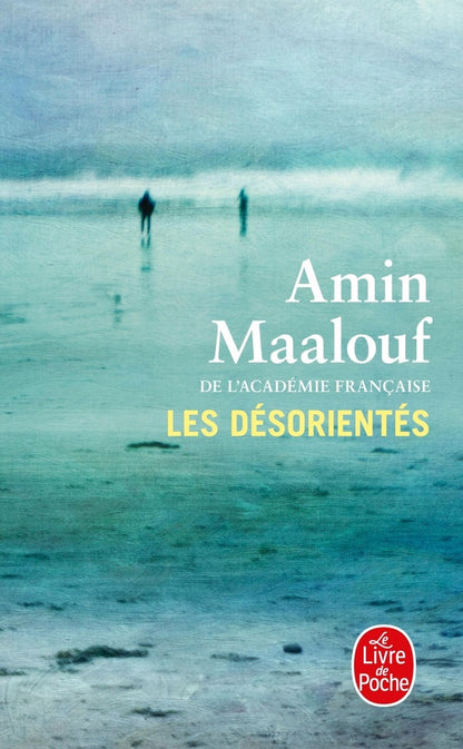 Front cover of Les désorientés