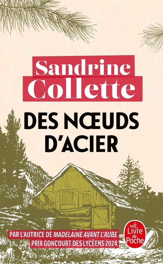 Front cover of Des noeuds d'acier