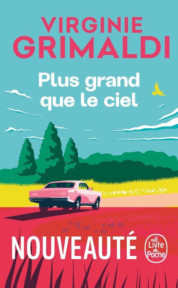 Front cover of Plus grand que le ciel