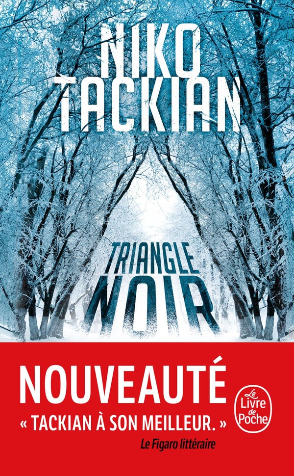 Front cover of Triangle noir