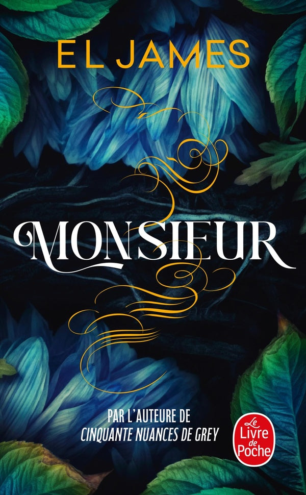 Front cover of Monsieur
