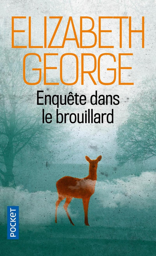 Front cover of Enquête dans le brouillard