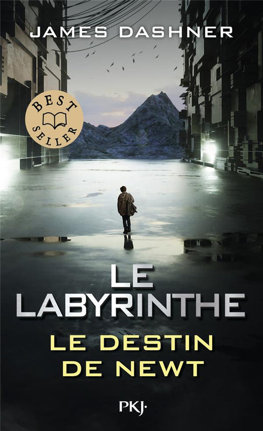 Front cover of Le labyrinthe : Le destin de Newt