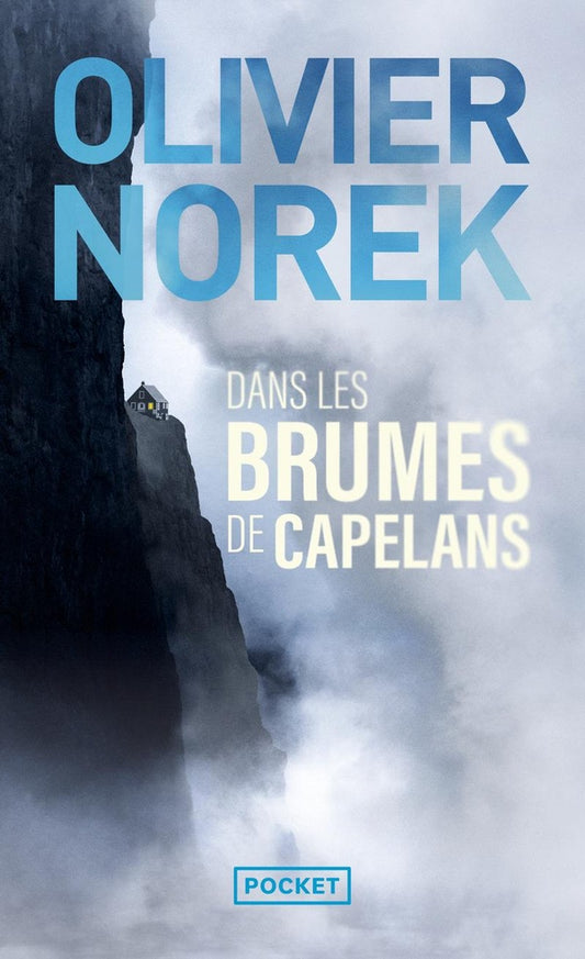 Front cover of Dans les brumes de Capelans