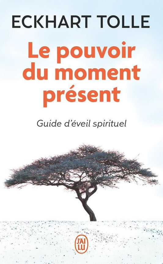 Front cover of Le pouvoir du moment présent : Guide d'éveil spirituel