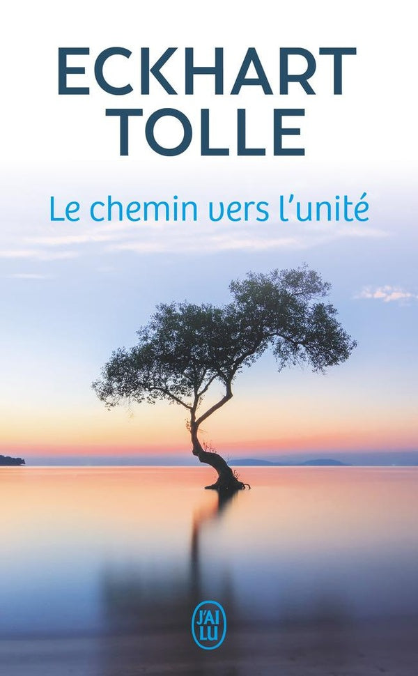 Front cover of Le chemin vers l'unité