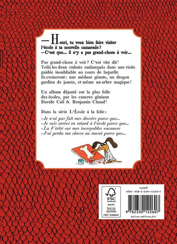 Back cover of La vérité sur ma folle école