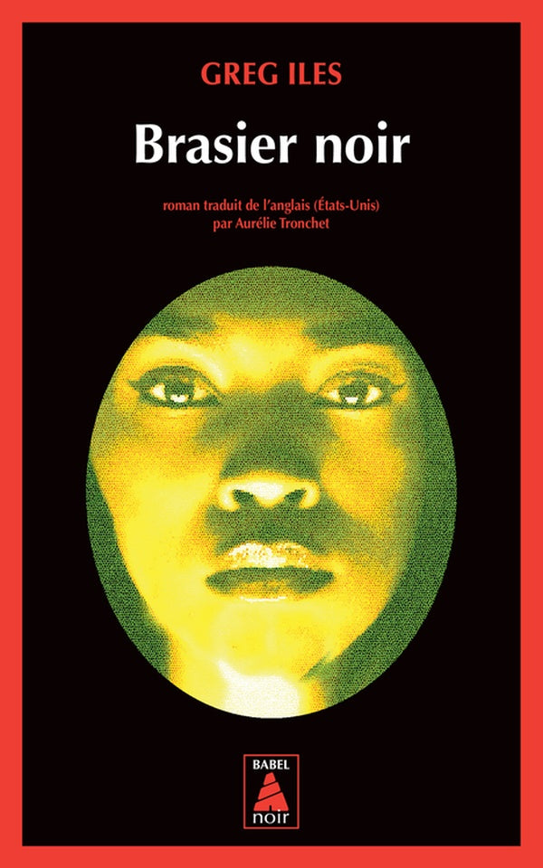Front cover of Brasier noir
