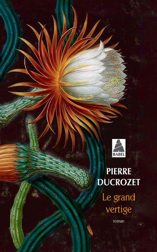 Front cover of Le grand vertige