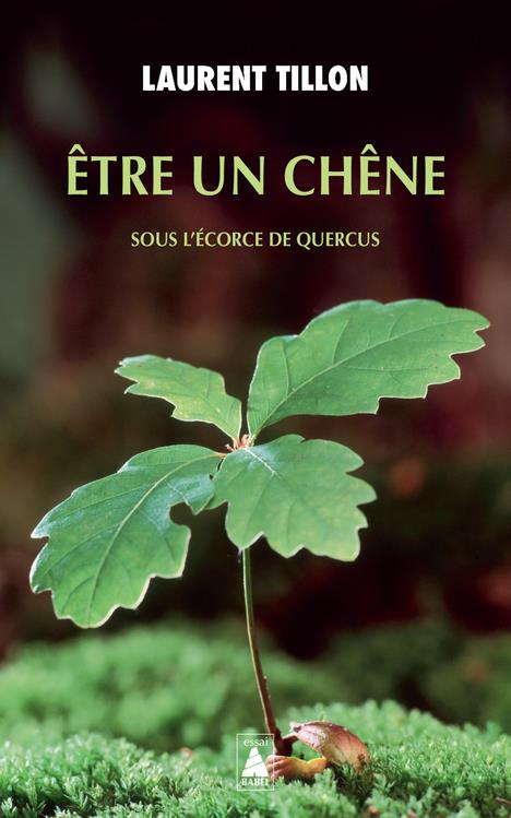 Front cover of être un chêne : sous l'écorce de quercus