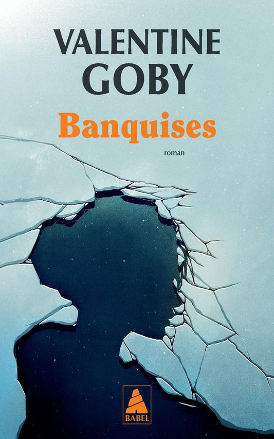 Front cover of Banquises