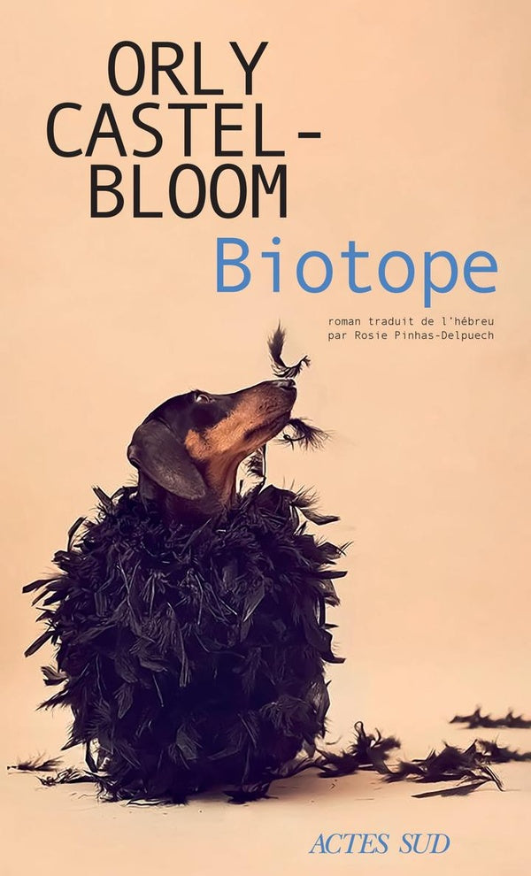 Front cover of Biotope