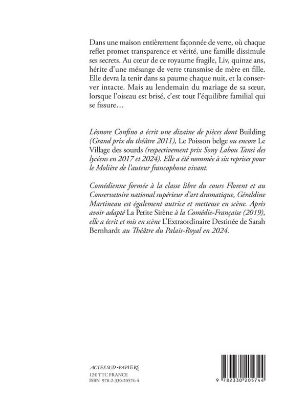 Back cover of L'enfant de verre