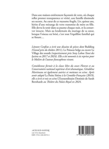 Back cover of L'enfant de verre