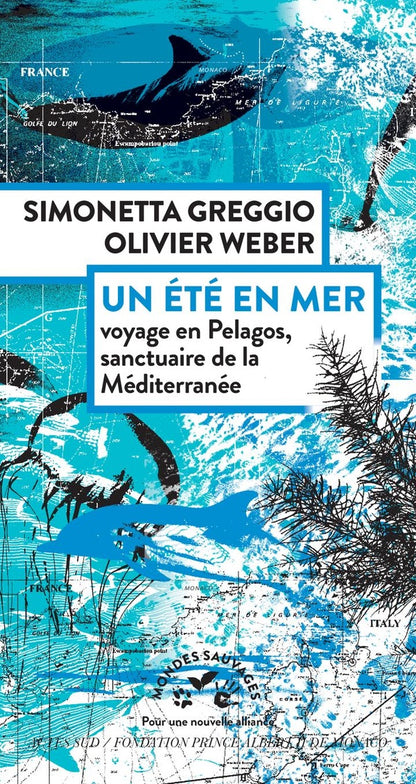 Front cover of Un été en mer : Voyage en Pélagos, sanctuaire de la Méditerranée