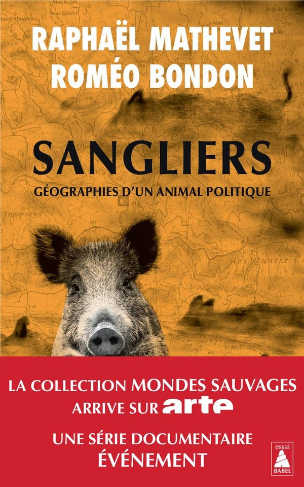 Front cover of Sangliers, géographies d'un animal politique