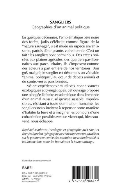 Back cover of Sangliers, géographies d'un animal politique