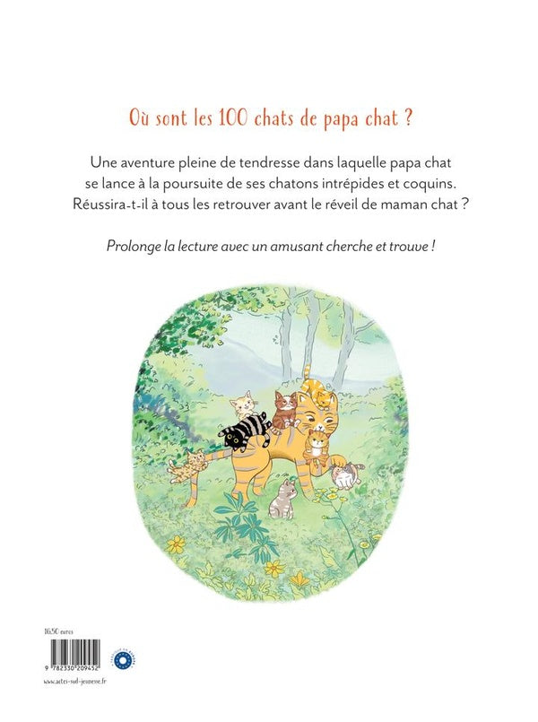 Back cover of Papa chat cherche ses cent chats